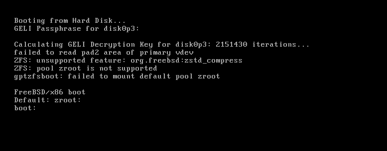 openzfs mountpoint not empty